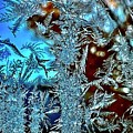 Frozen Windowpane