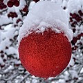 Holiday Cheer