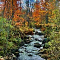 Mountain Stream in Autumn