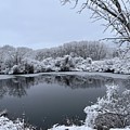 Winter Pond straightened